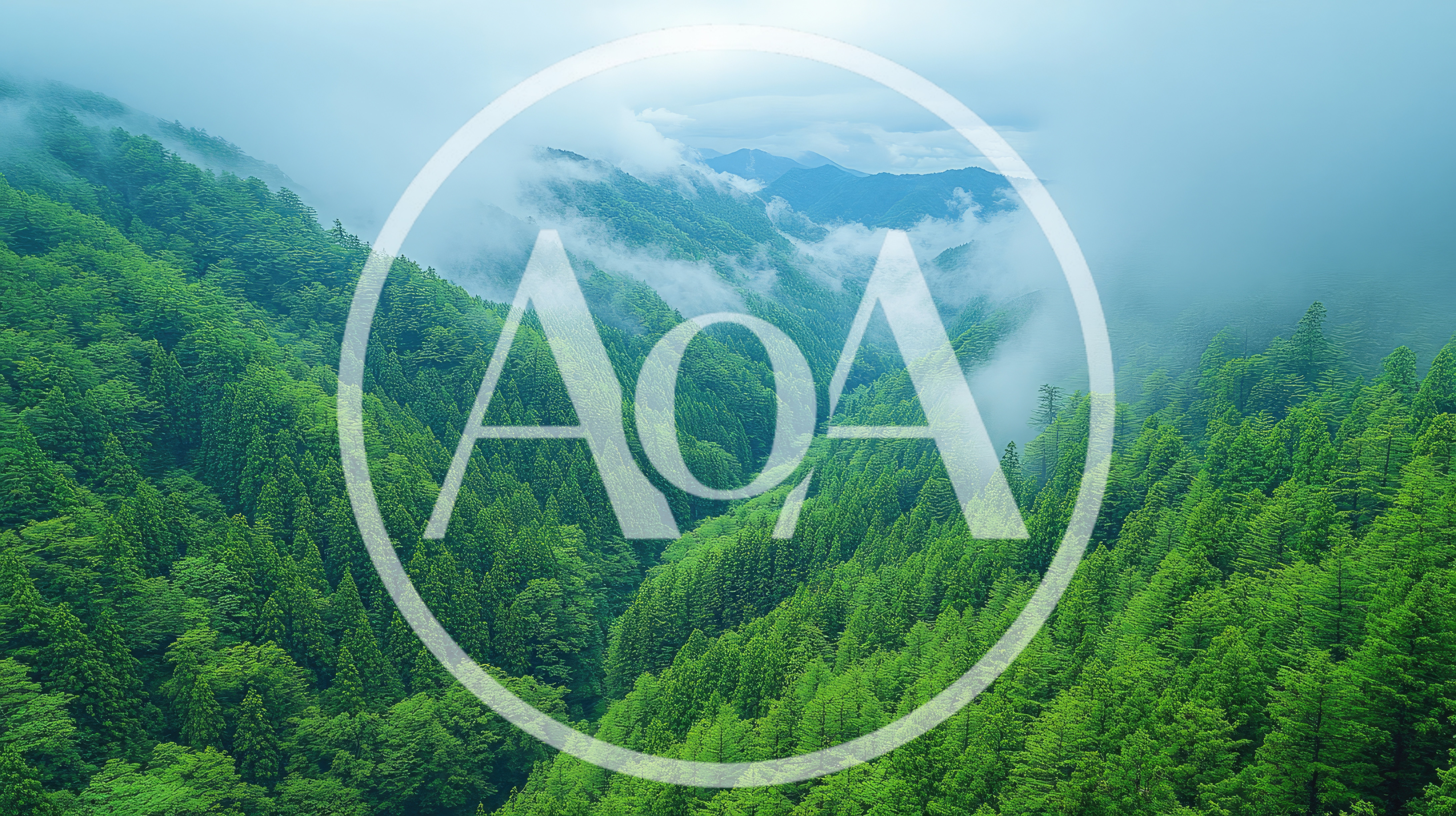 Aerial View Of Lush Green Forest Valley With Mist