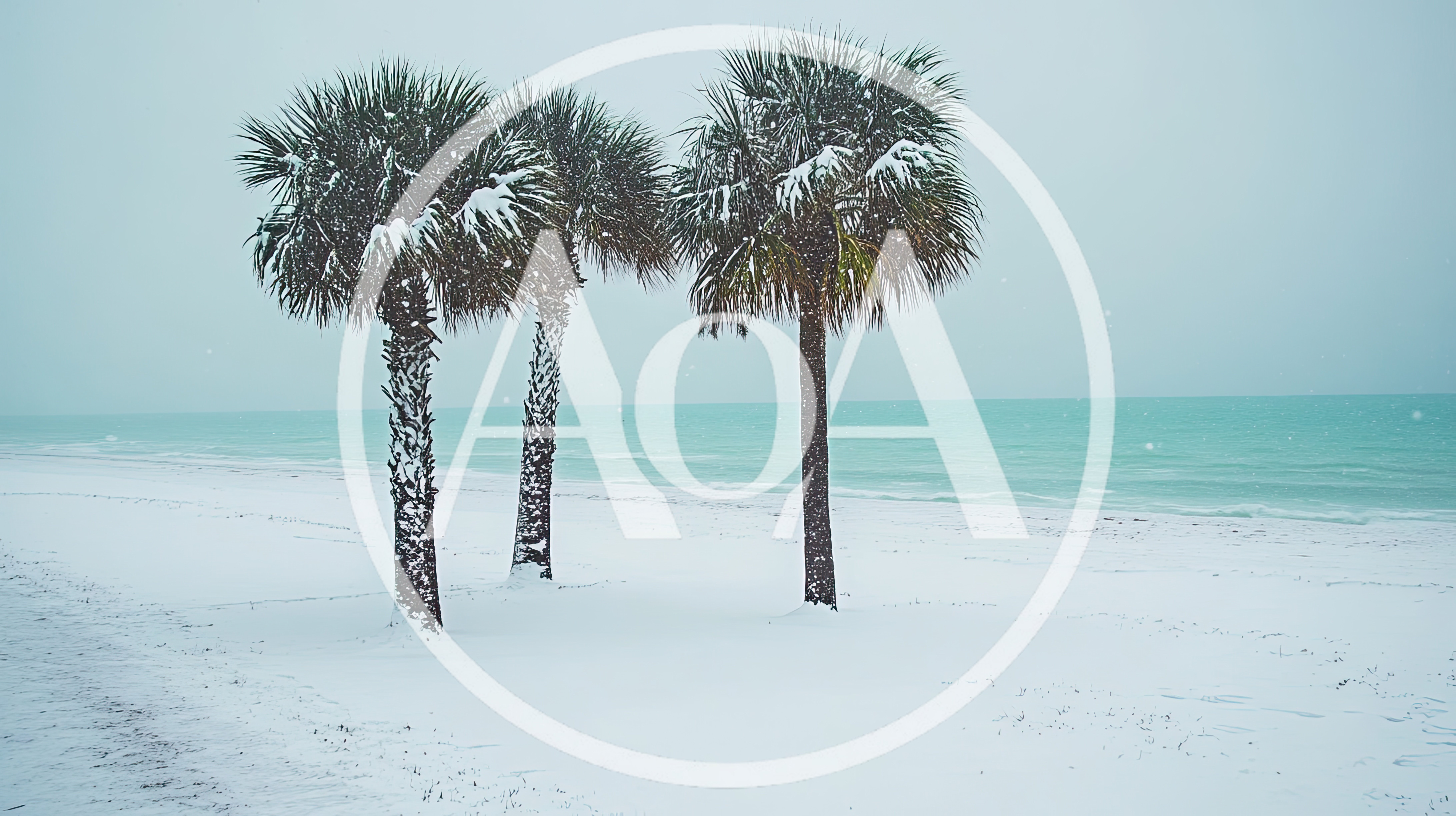Snow Covered Palm Trees On A Tropical Beach