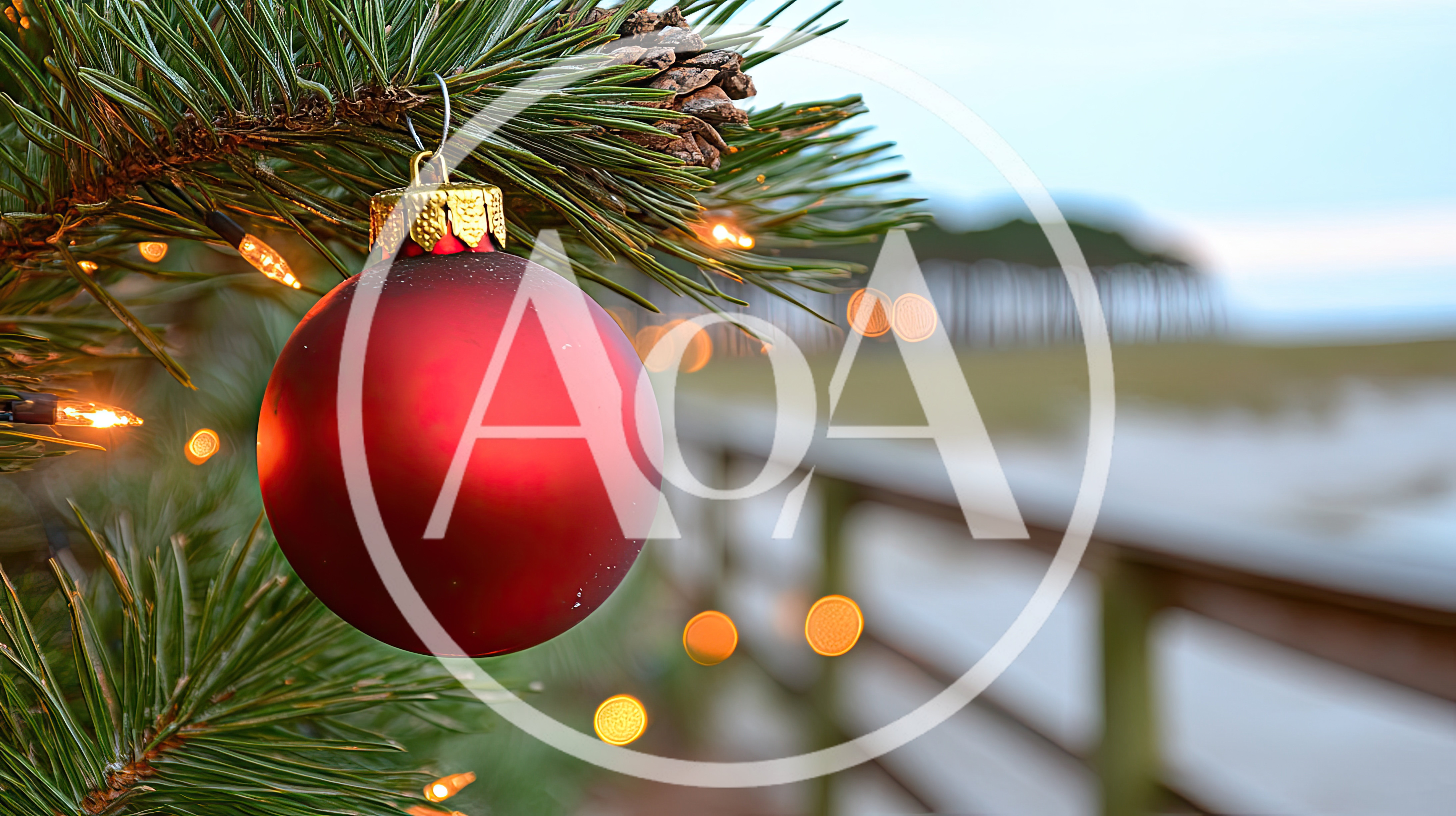Red Christmas Ornament Hanging On Pine Tree Branch