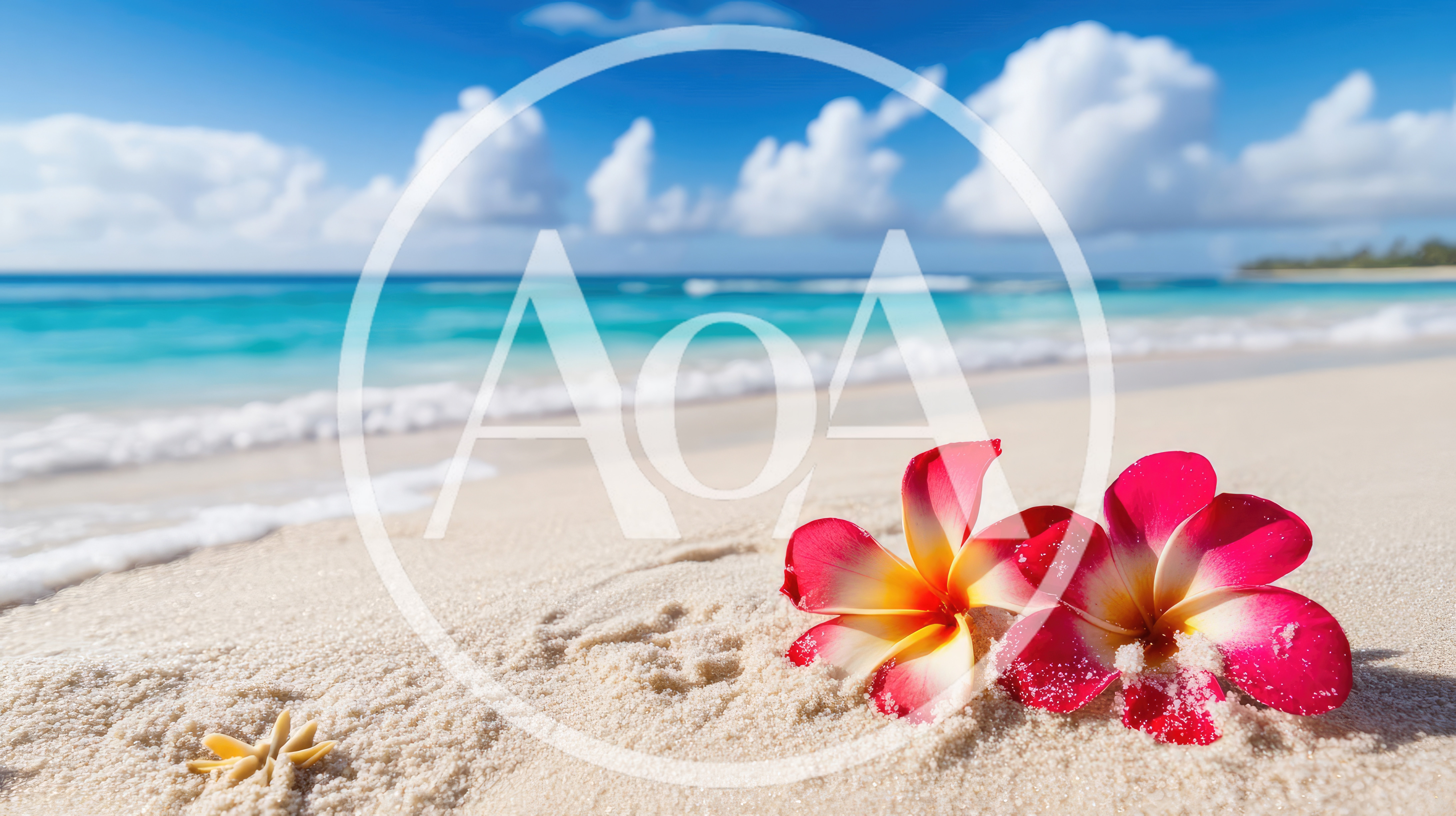 Two Pink Plumeria Flowers On Tropical Beach Sand