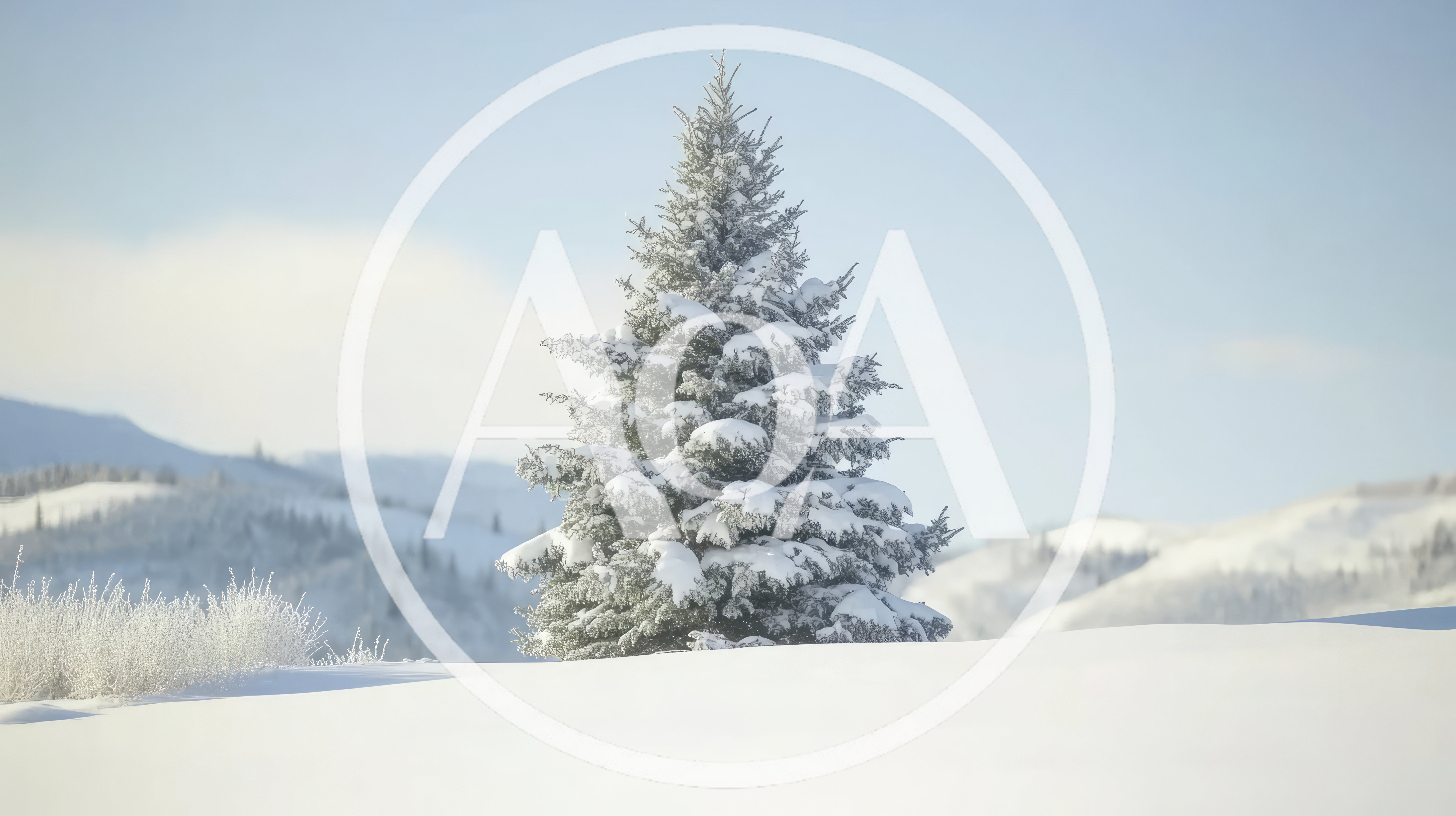 Snow Covered Pine Tree In Winter Landscape