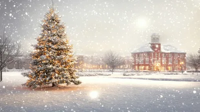 Illuminated Christmas Tree In Snowy Town Square