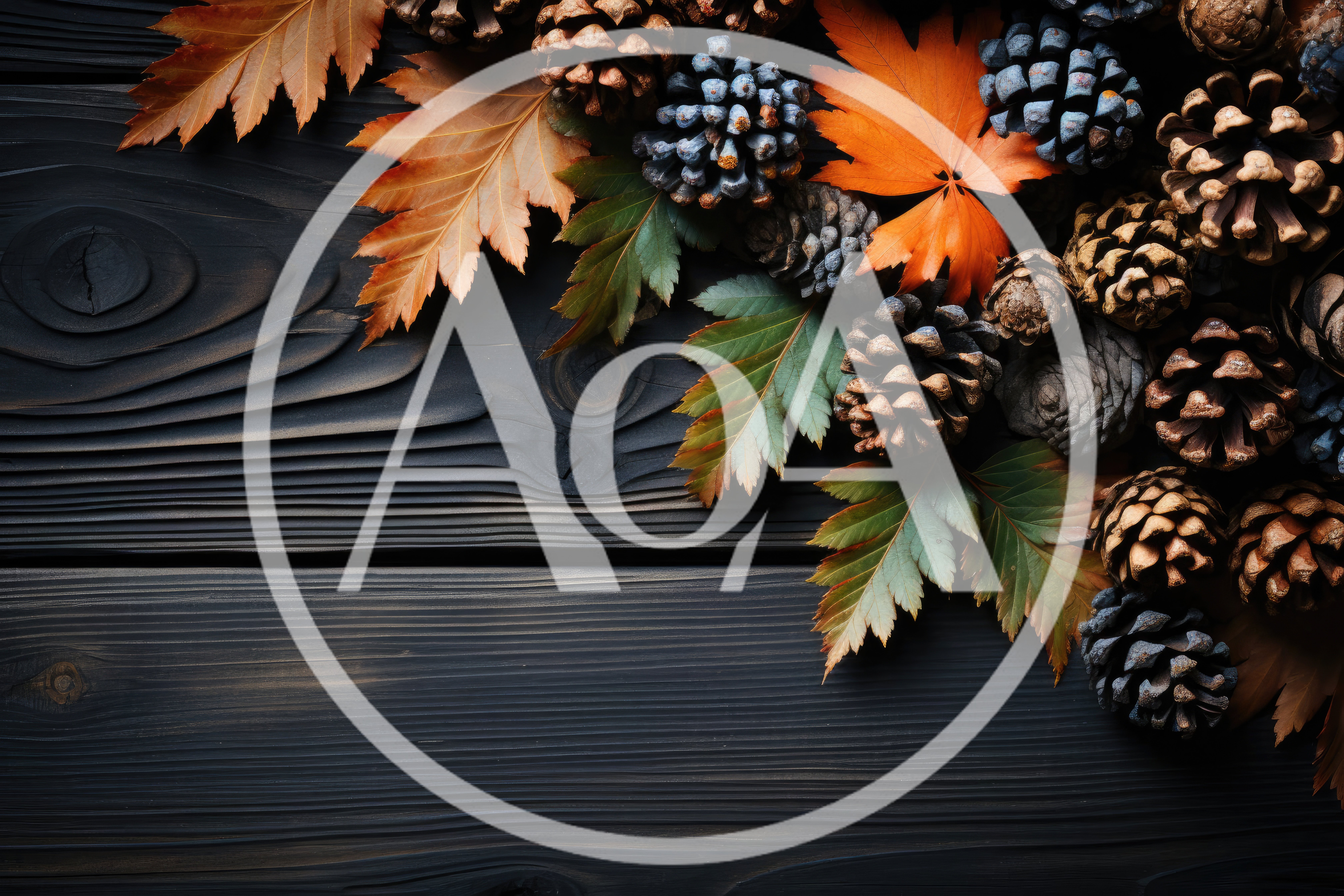 Autumn Pine Cones and Fall Leaves on Dark Wood