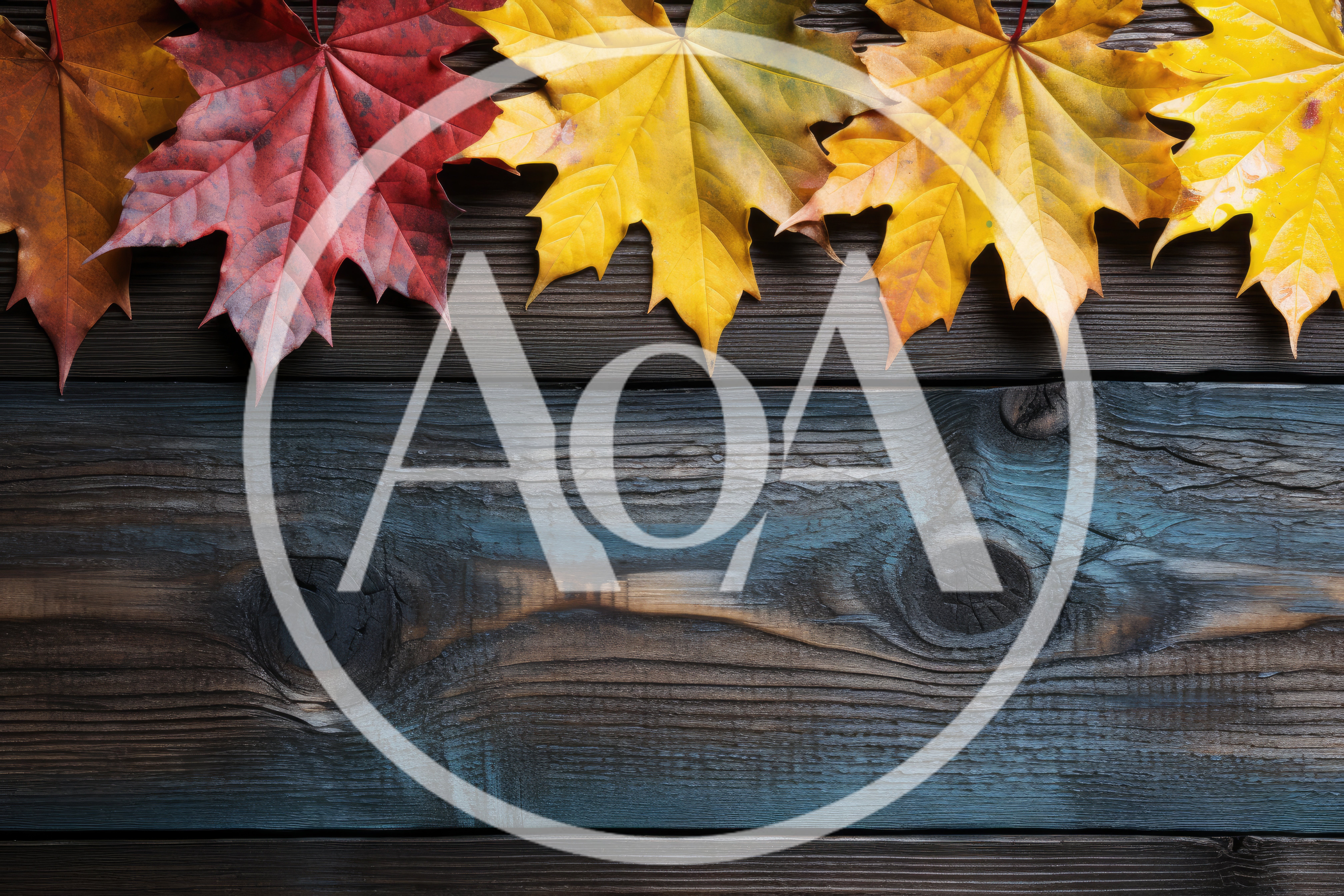 Autumn Maple Leaves Arranged On Dark Wooden Background