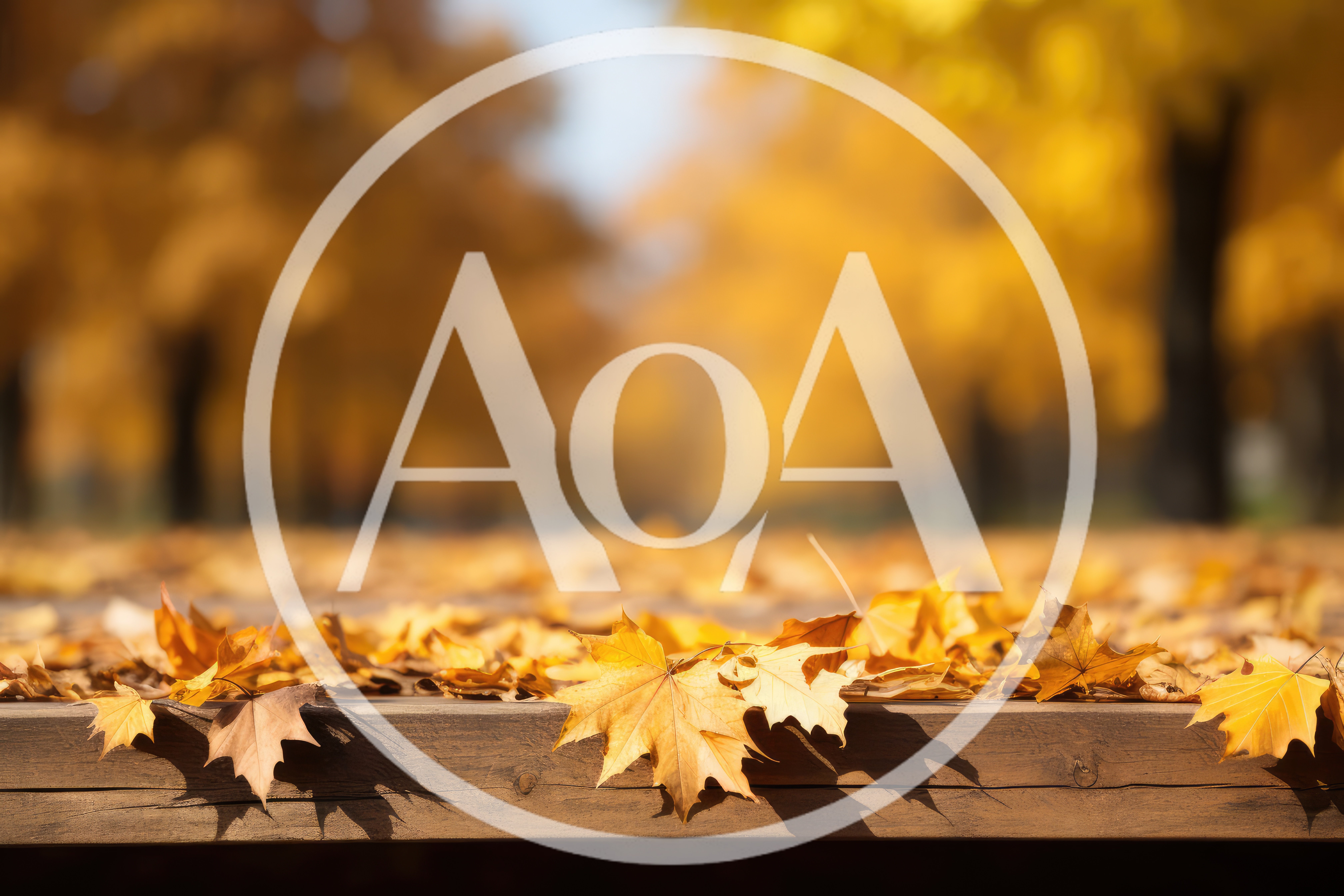 Autumn Maple Leaves Resting On A Wooden Bench