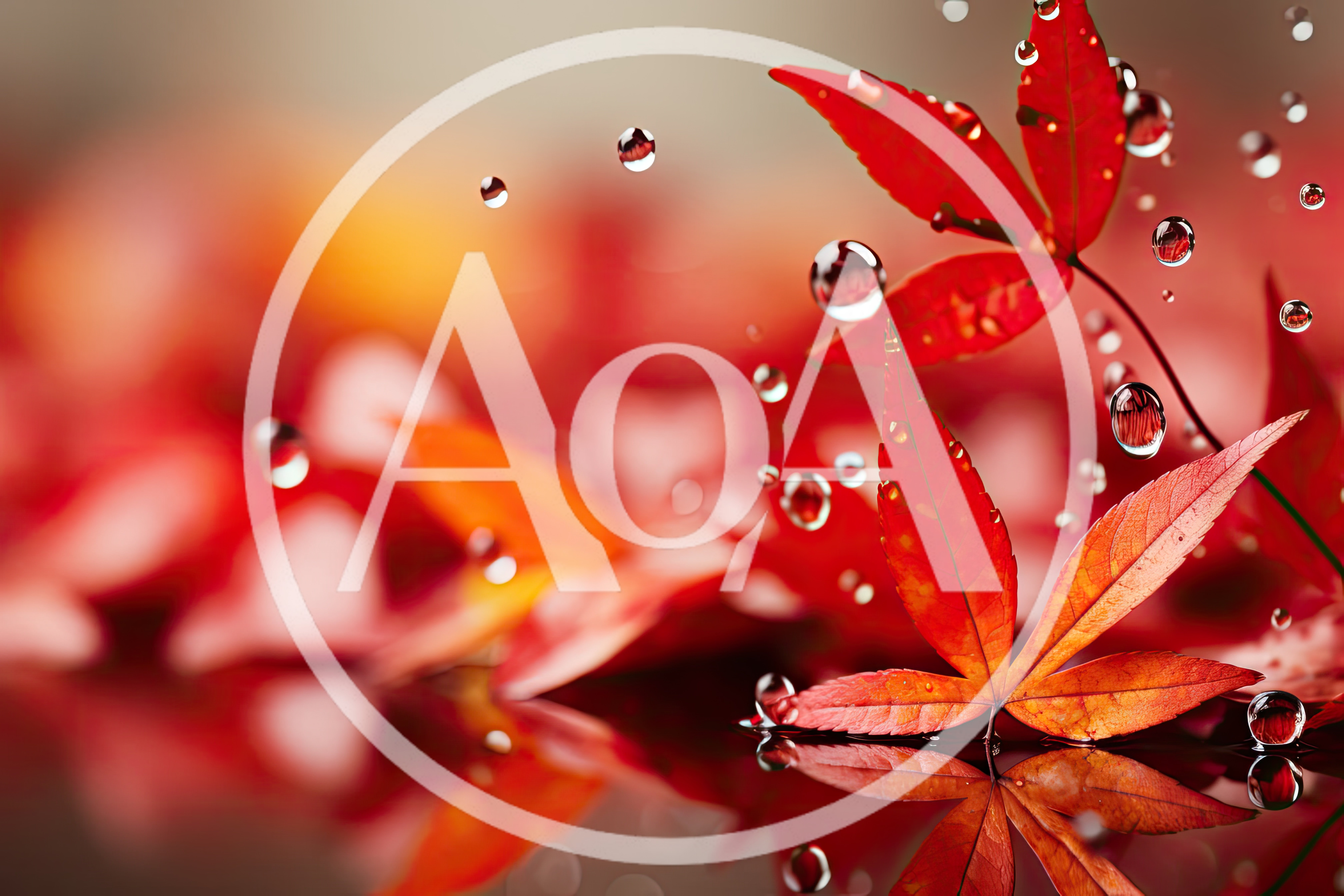Red Maple Leaves With Floating Water Droplets
