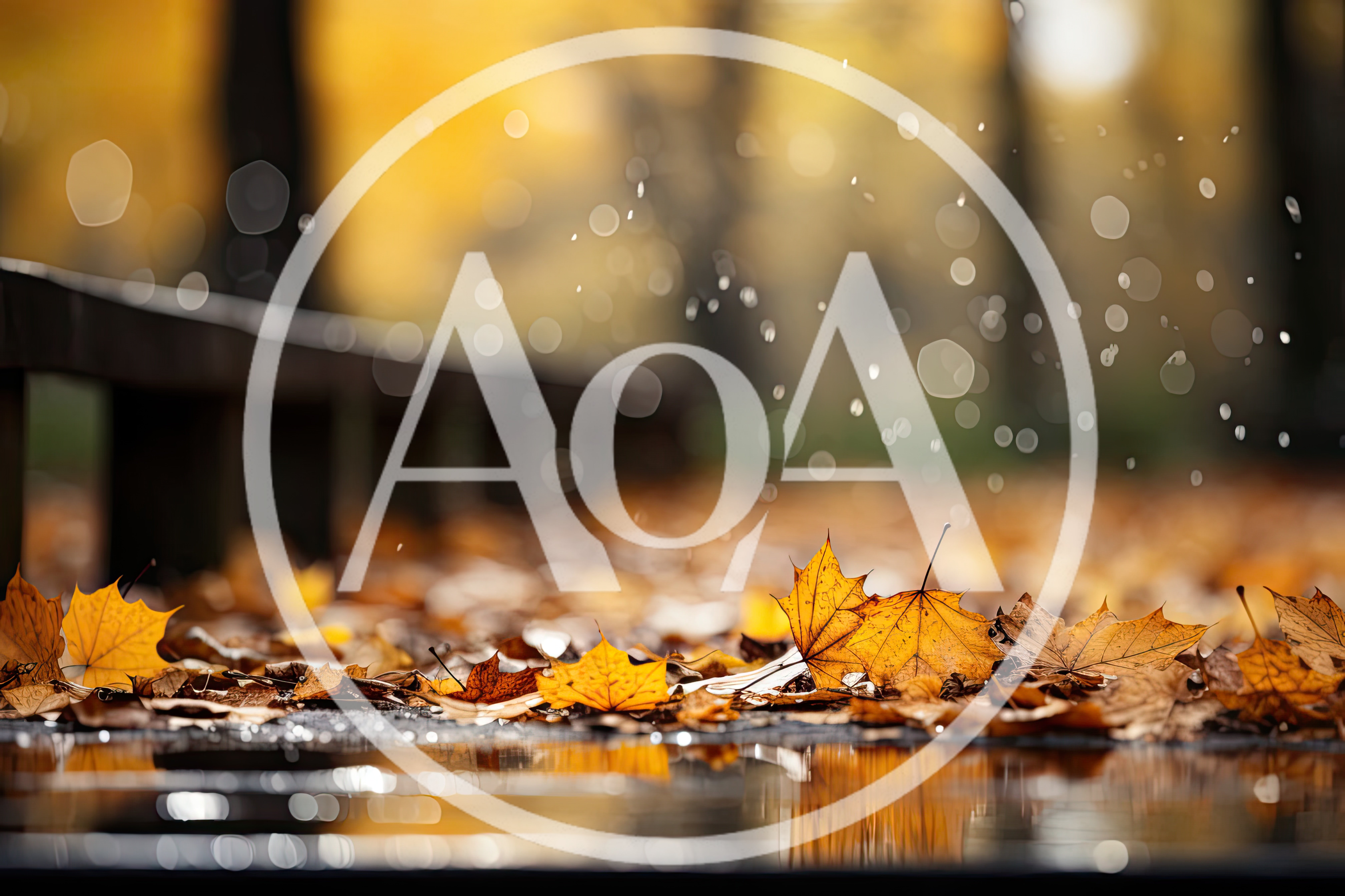 Fallen Autumn Leaves Resting In A Rain Puddle