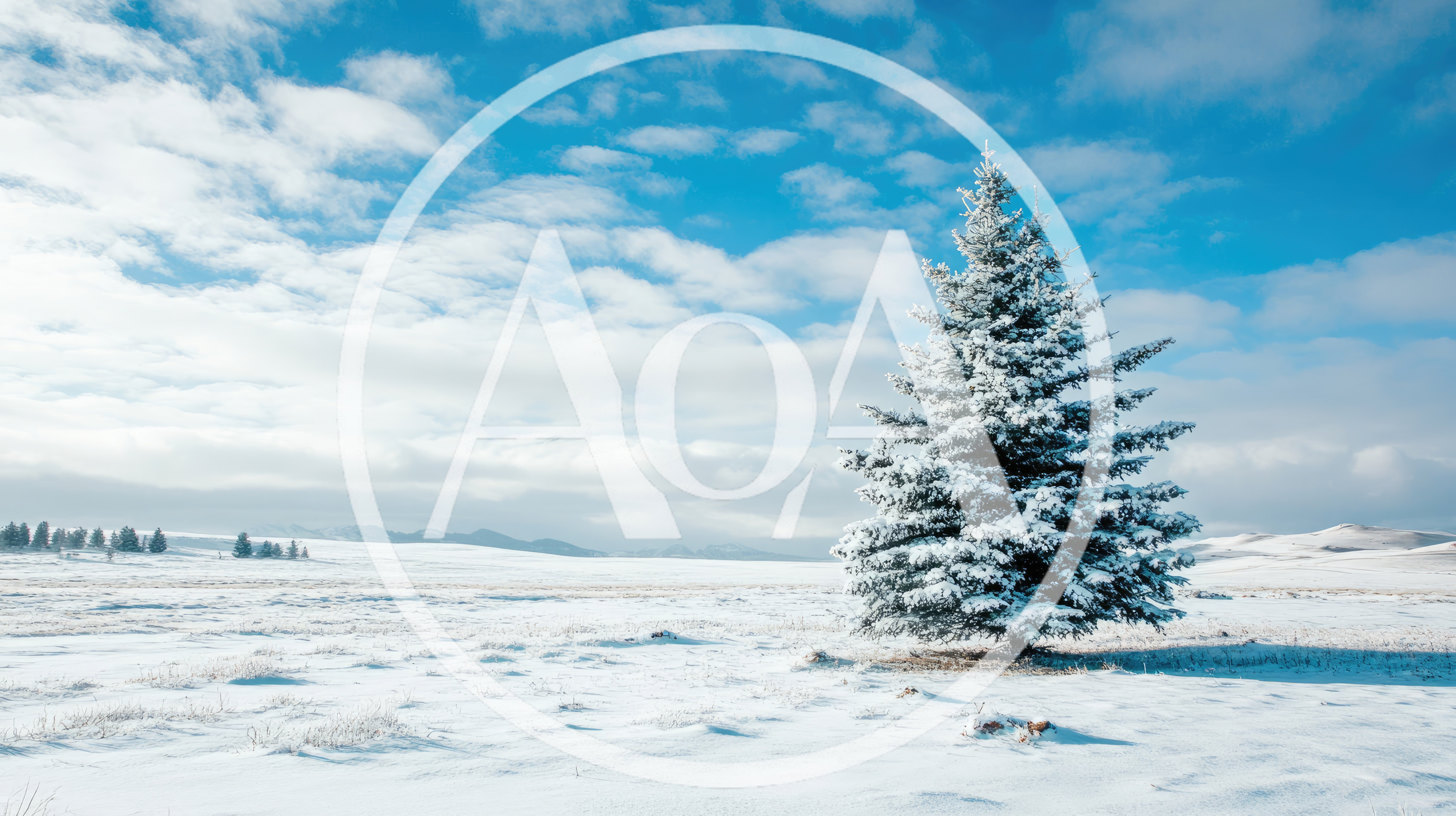 Snow Covered Pine Tree In A Vast Winter Landscape