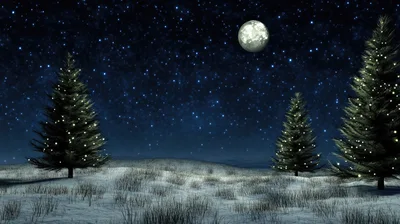 Christmas Trees In A Snowy Night Landscape