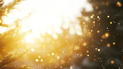 Golden Sunlight Filtering Through Snowy Pine Branches