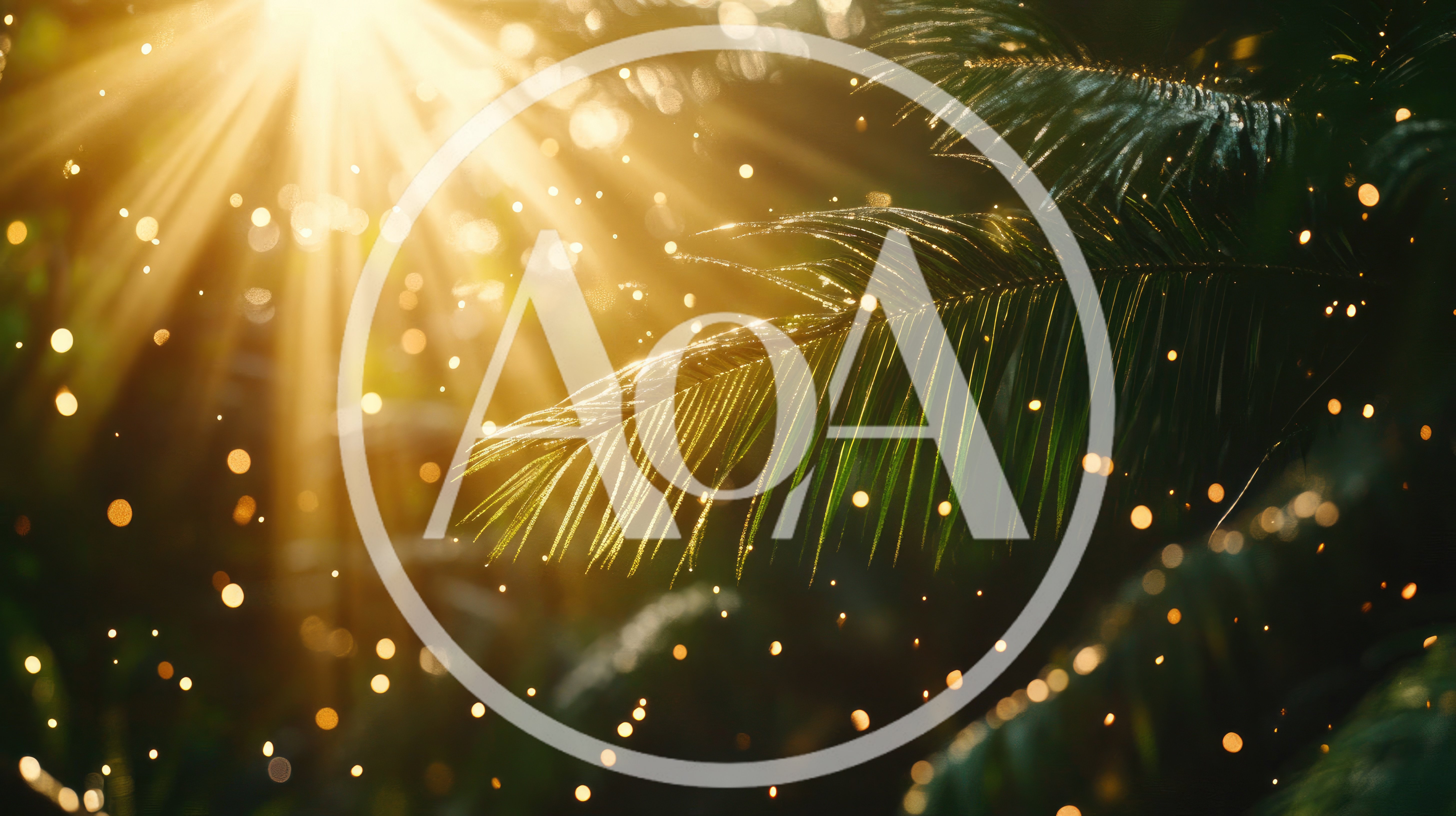 Sunlight Filtering Through Tropical Palm Fronds With Bokeh