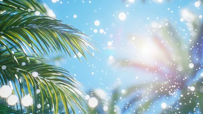 Palm Fronds Against A Bright Sunny Sky