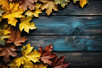 Autumn Maple Leaves On Dark Rustic Wooden Background