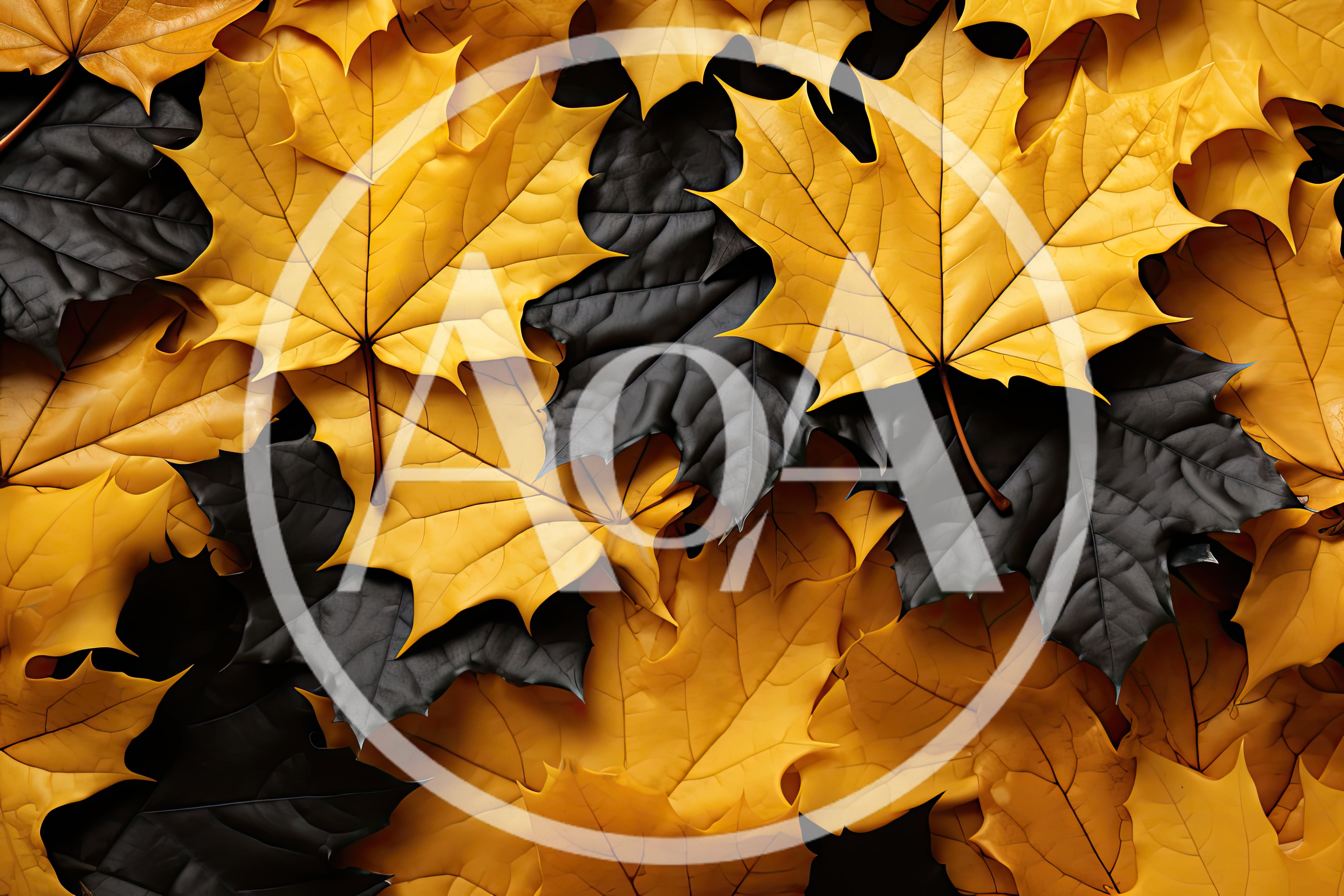 Abstract Pattern Of Yellow And Black Maple Leaves