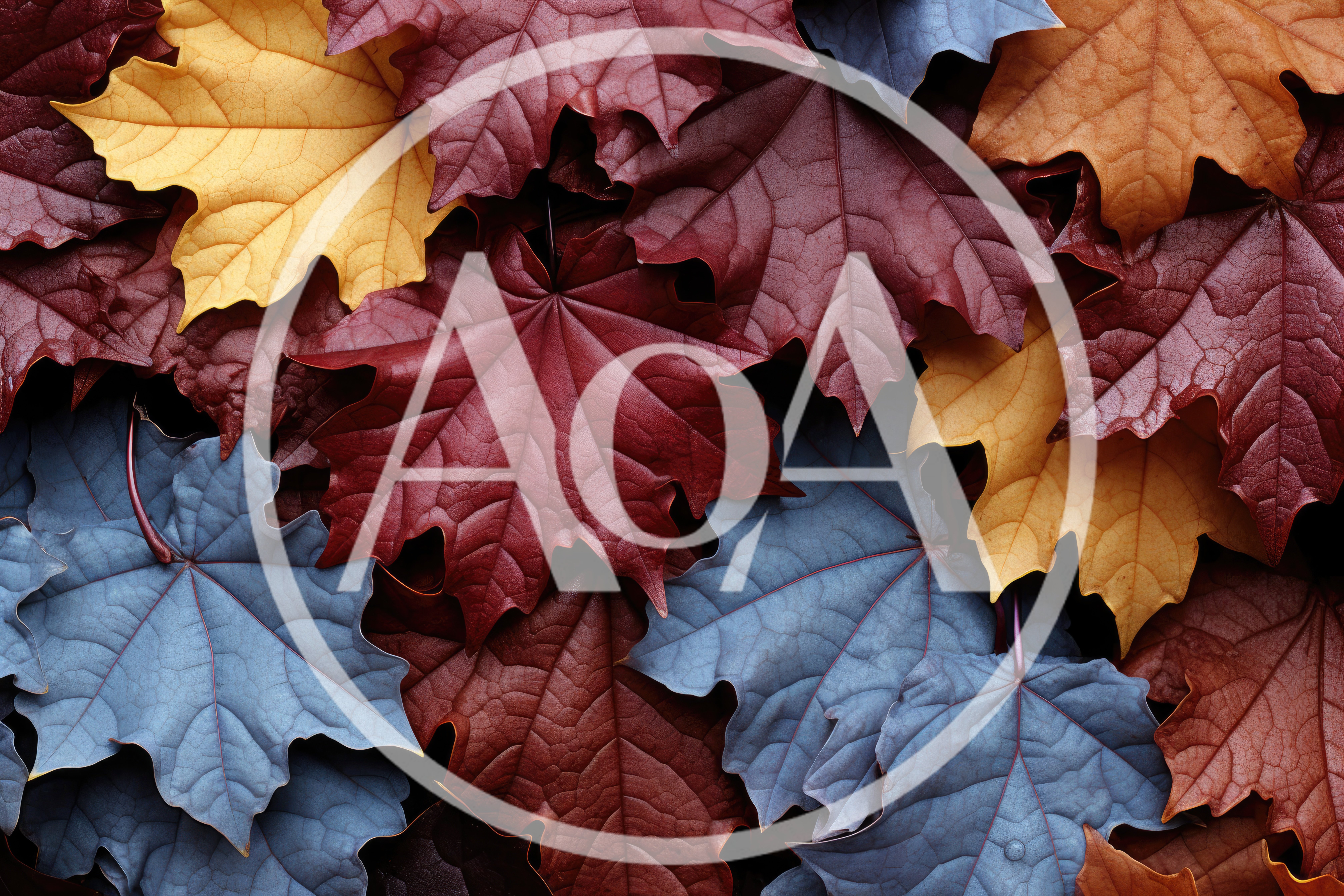 Colorful Autumn Maple Leaves Background Texture