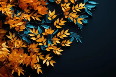 Yellow and Teal Leaves on Dark Background