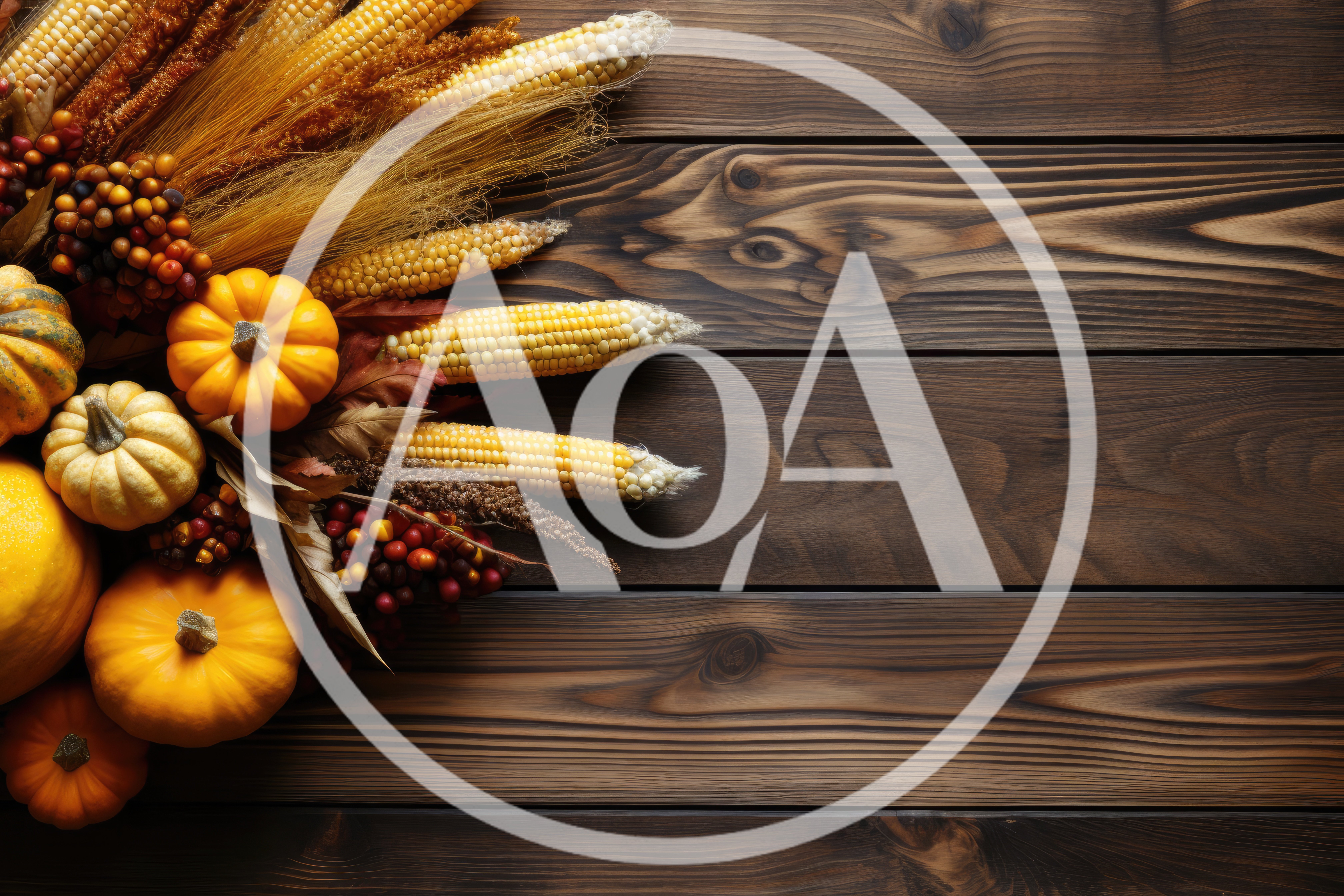 Autumn Harvest Decoration With Pumpkins And Corn