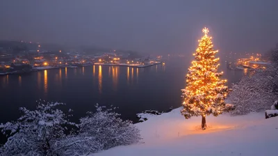Illuminated Christmas Tree Overlooking A Snowy Harbor At Twilight