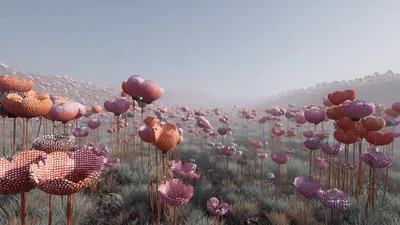 Surreal Field Of Polka Dot Flowers Swaying In Mist