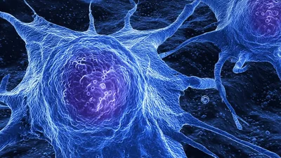 Blue Cancer Cells Dividing Under Microscope