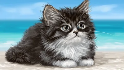 Cute Fluffy Kitten Sitting On A Sandy Beach