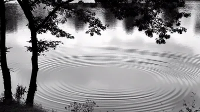 Concentric Ripples Expanding On Calm Lake Surface