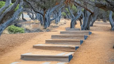 Walking Through A Scenic Forest Path With Wooden Stairs