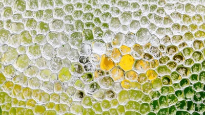 Macro View Of Bubbles Merging Into A Honeycomb Pattern