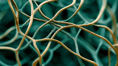 Abstract Neural Network Connections Pulsing With Energy