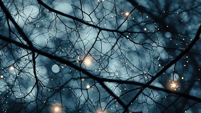 Twinkling Fairy Lights Hanging On Bare Winter Tree Branches