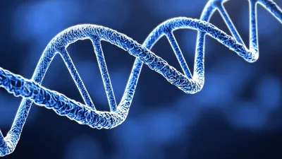 Rotating Blue DNA Double Helix Strand Animation