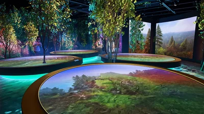 Immersive Digital Forest Art Installation With Interactive Circular Displays