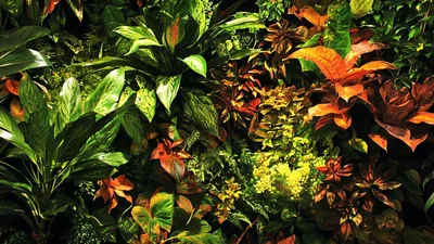 Lush Vertical Garden Wall With Vibrant Tropical Foliage