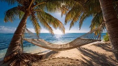 Empty Hammock Swaying Gently Between Tropical Palm Trees