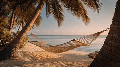 Empty Hammock Swaying Gently Between Tropical Palm Trees