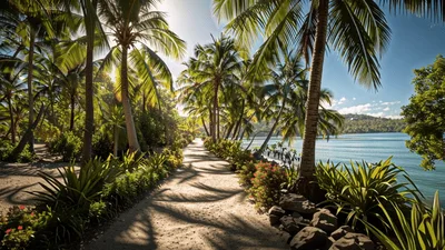 Tropical Coastal Path Lined With Palm Trees
