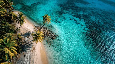 Aerial View Of Tropical Beach With Turquoise Water
