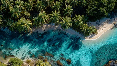 Aerial View Of Tropical Beach With Palm Trees