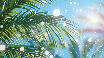 Palm Tree Leaves Swaying Under Bright Sunny Sky