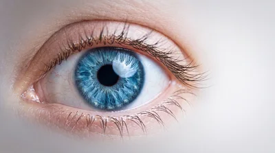 Extreme Close Up Of A Human Blue Eye