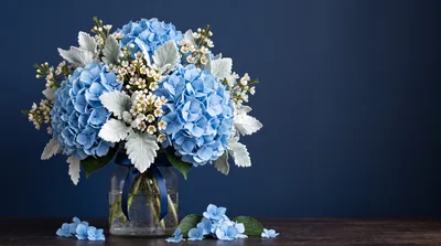 Blue Hydrangea Bouquet in Glass Vase