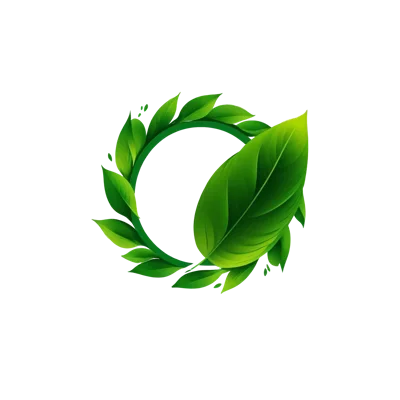 Green Leaf Wreath Frame Isolated On White Background