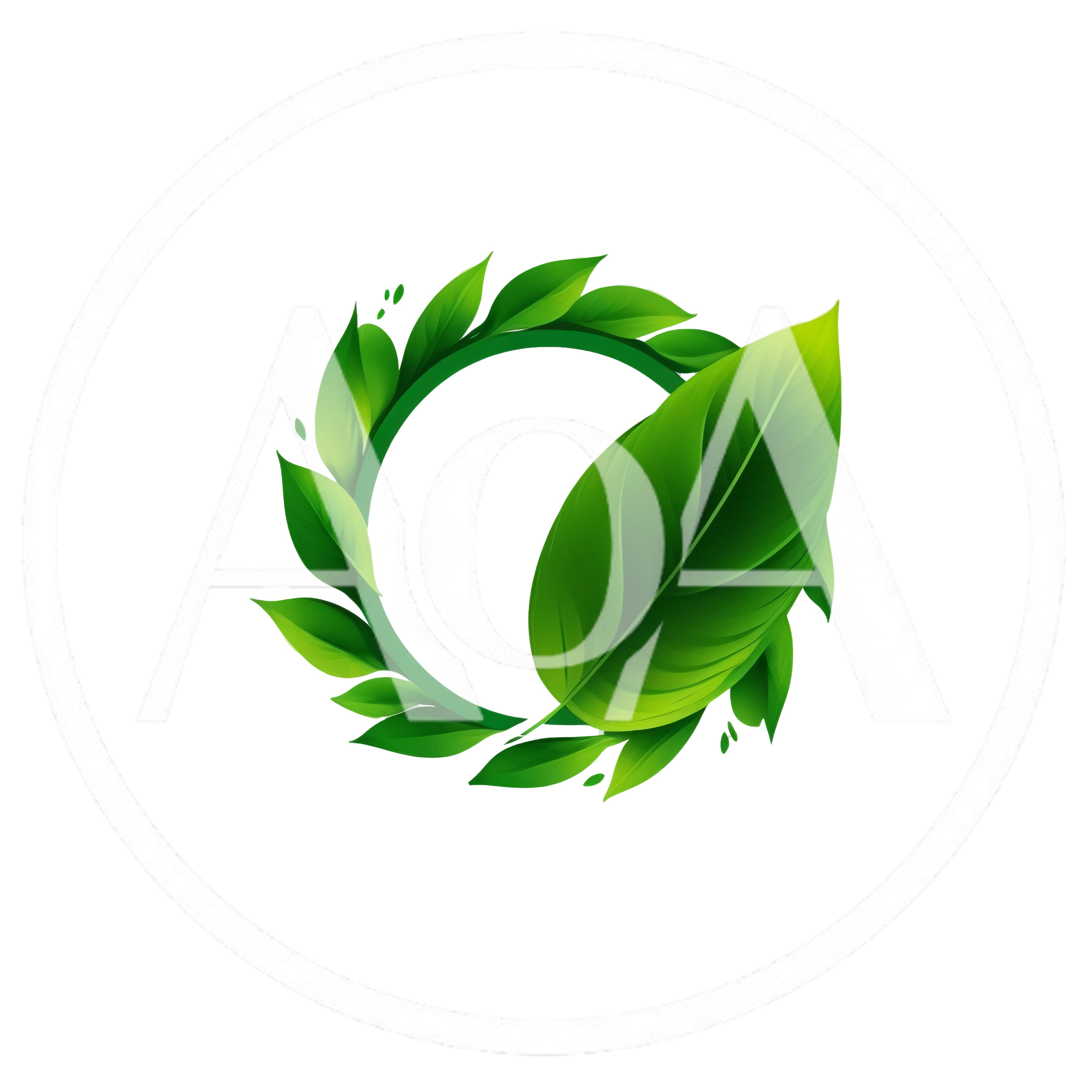Green Leaf Wreath Frame Isolated On White Background