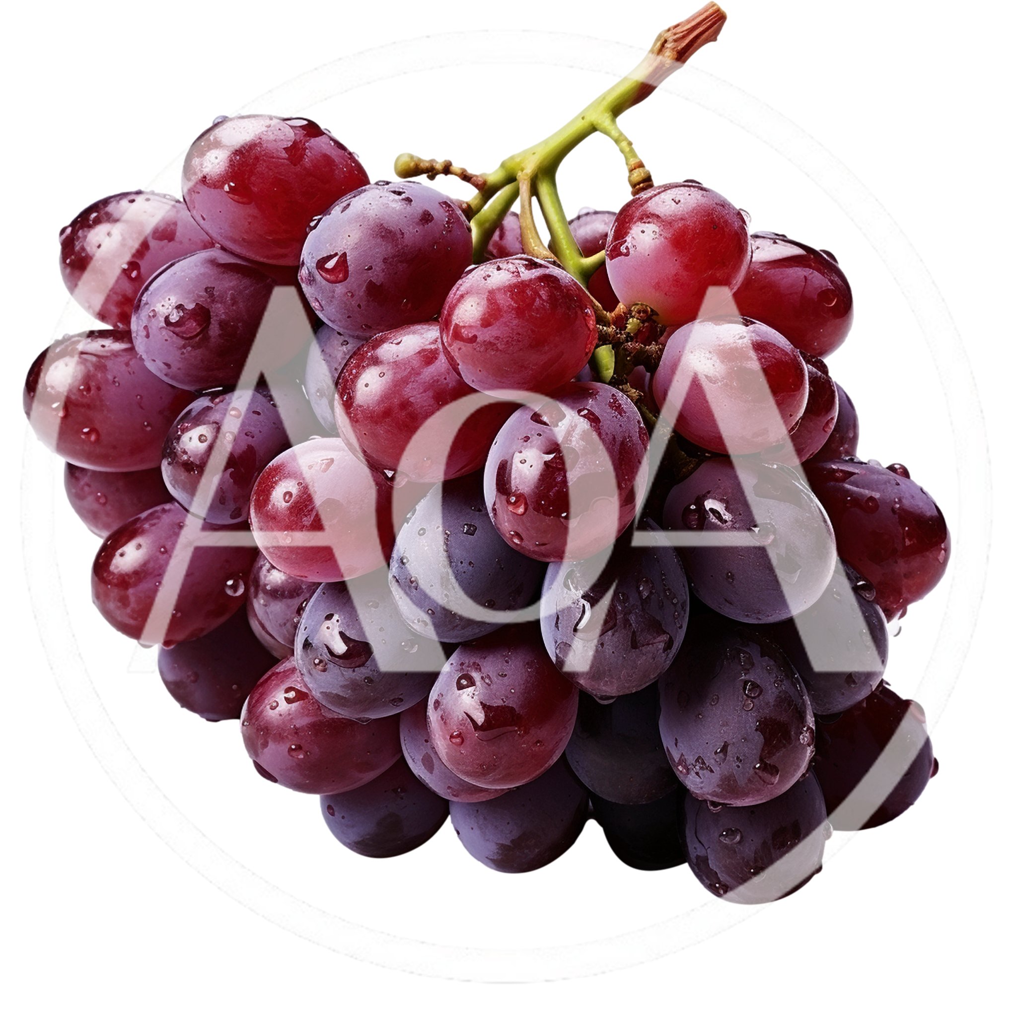 Fresh Red Grapes Cluster With Water Droplets