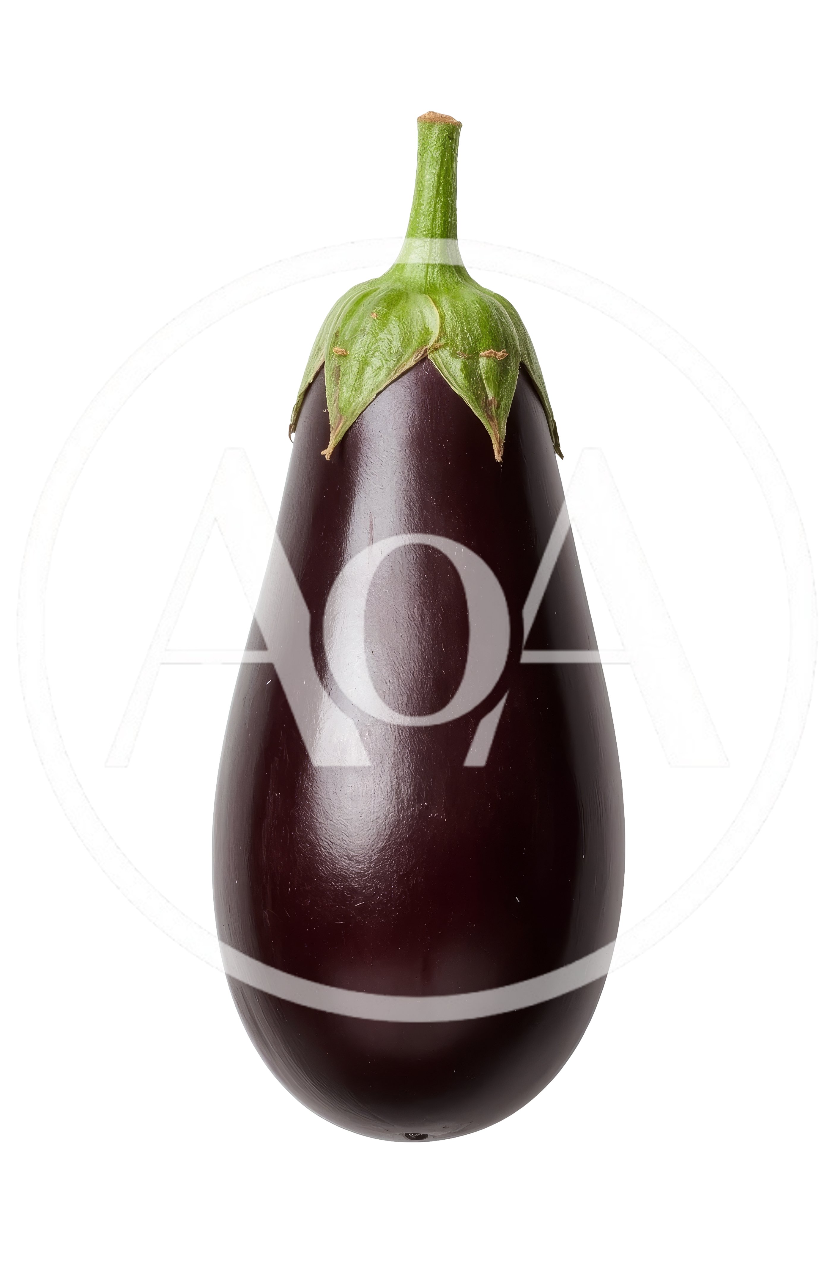 Single Fresh Purple Eggplant Isolated On White Background