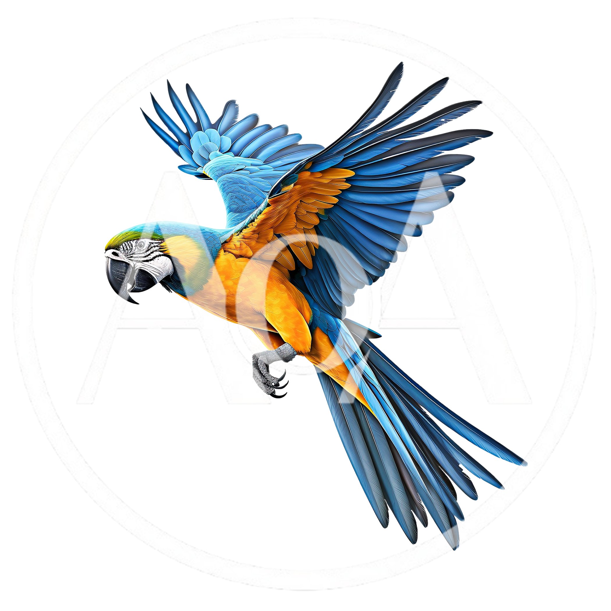 Blue and Yellow Macaw Flying Isolated on White