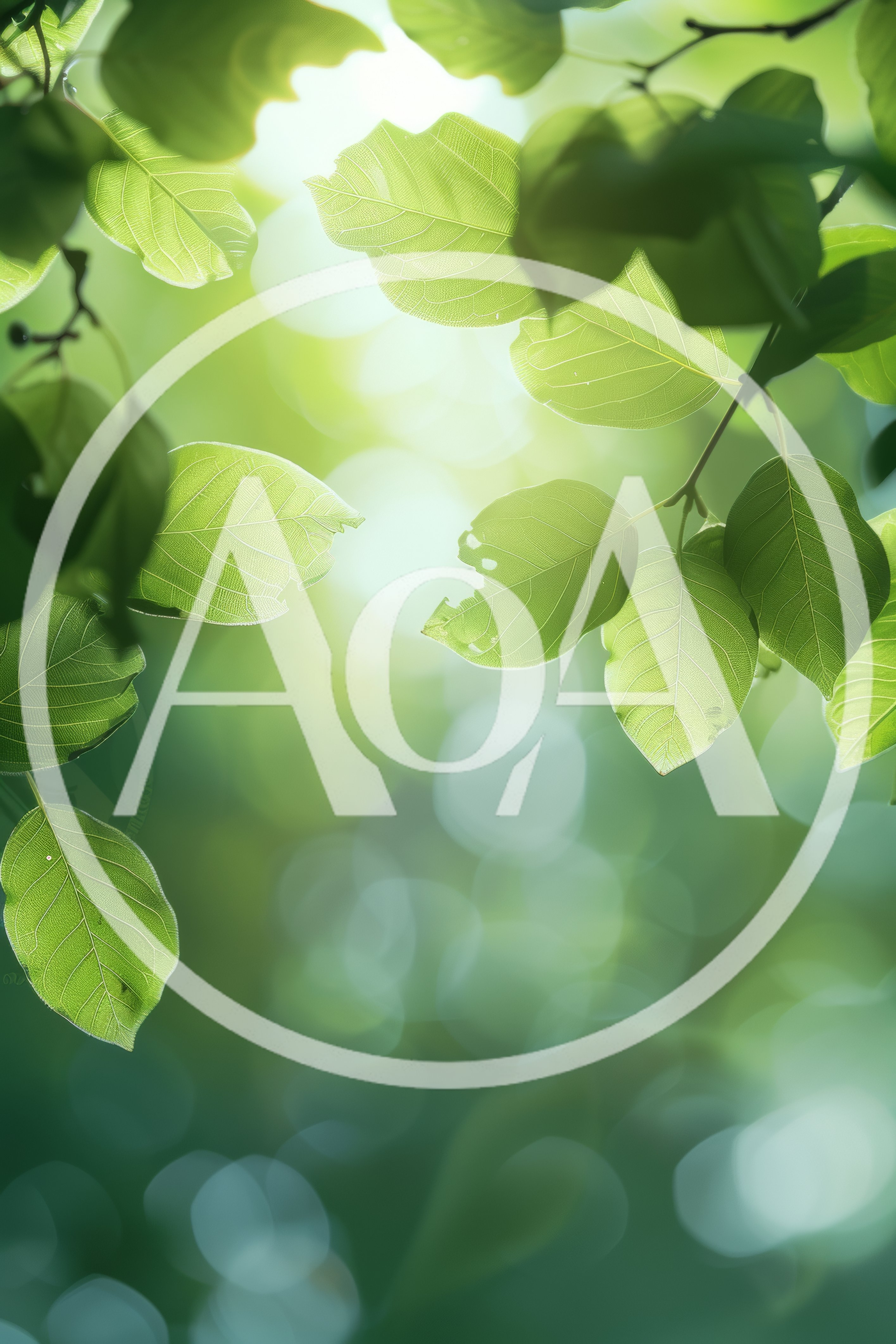 Sunlight Filtering Through Vibrant Green Tree Leaves