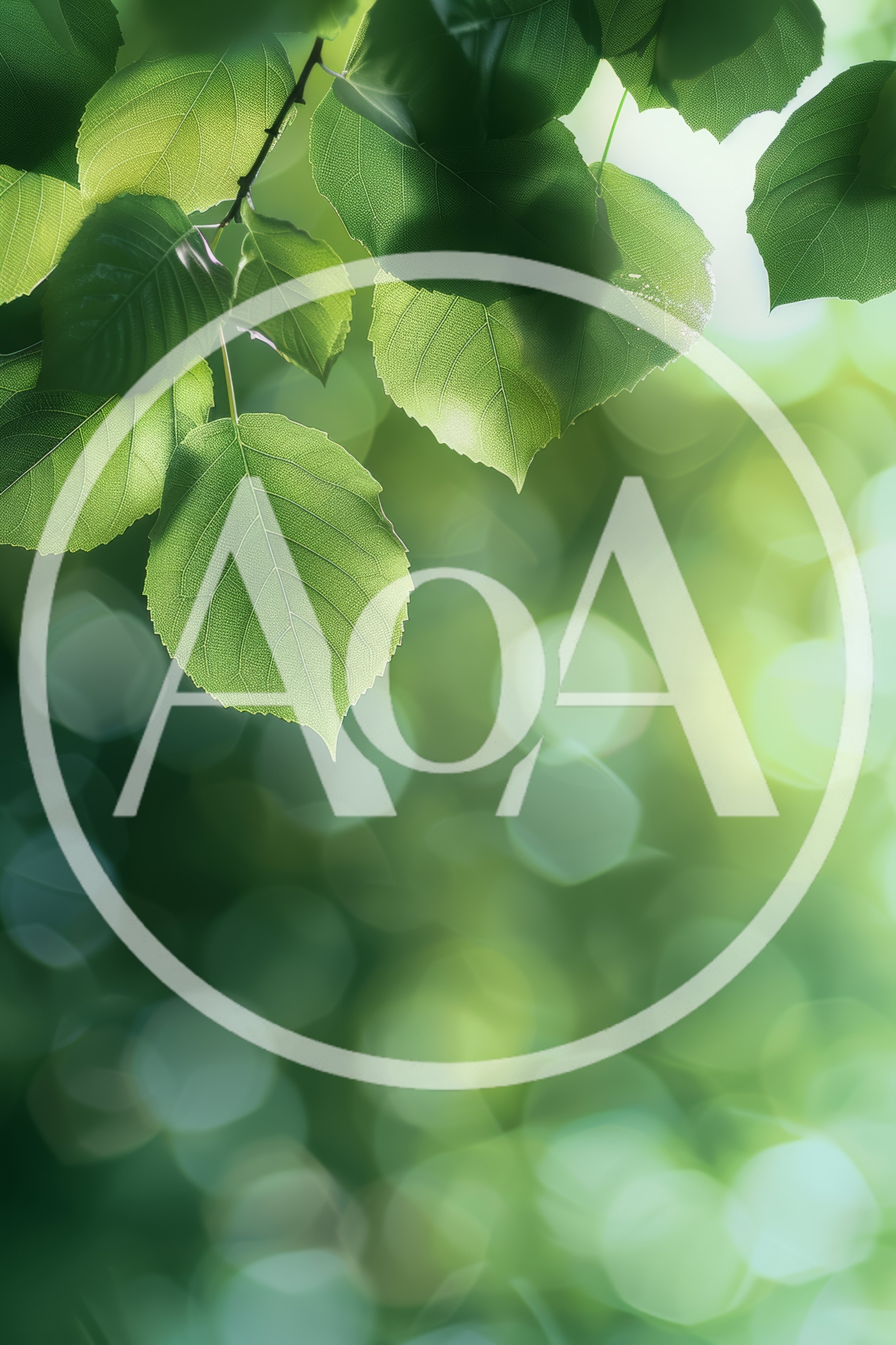 Fresh Green Leaves With Soft Bokeh Background