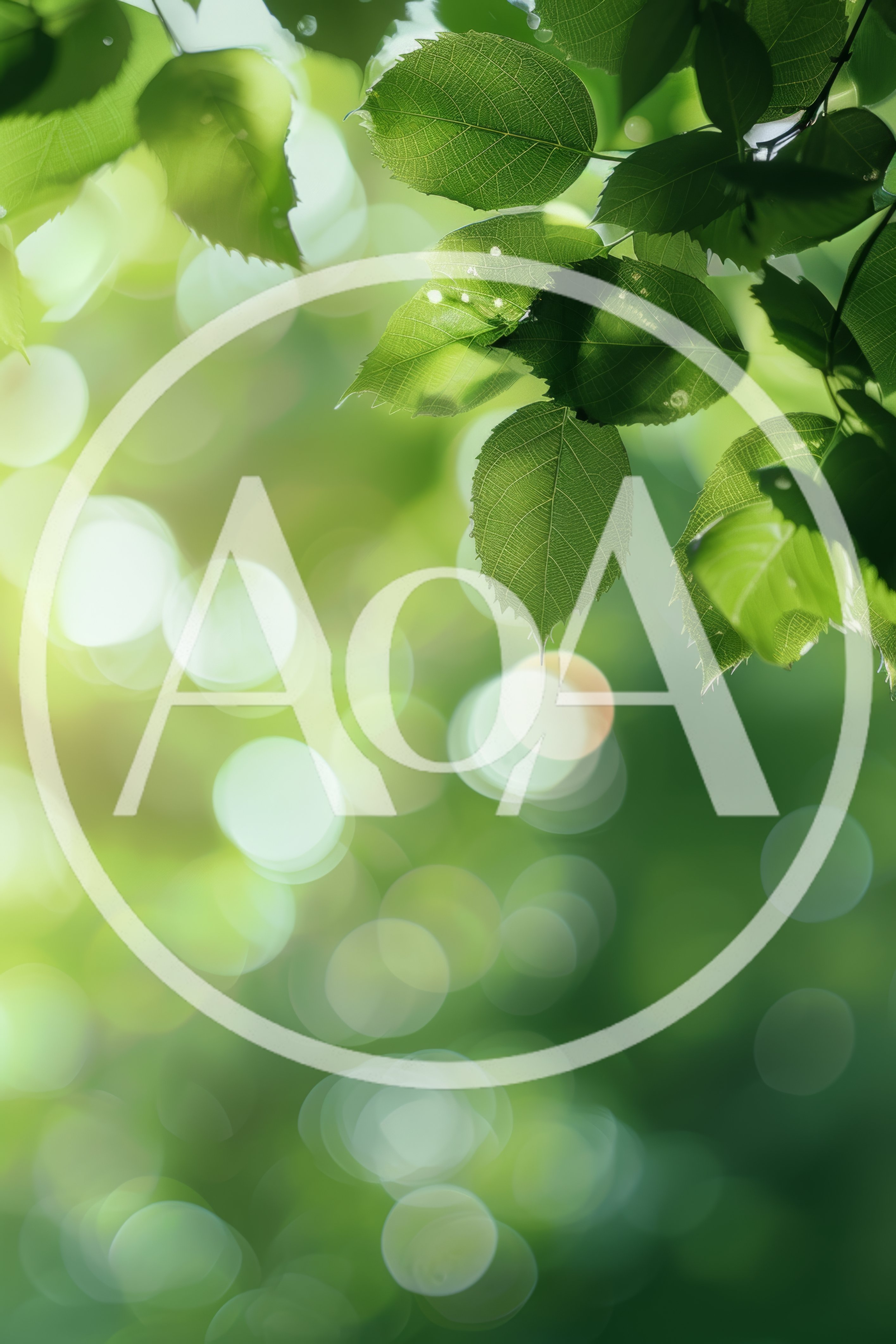 Sunlit Green Leaves With Soft Bokeh Background