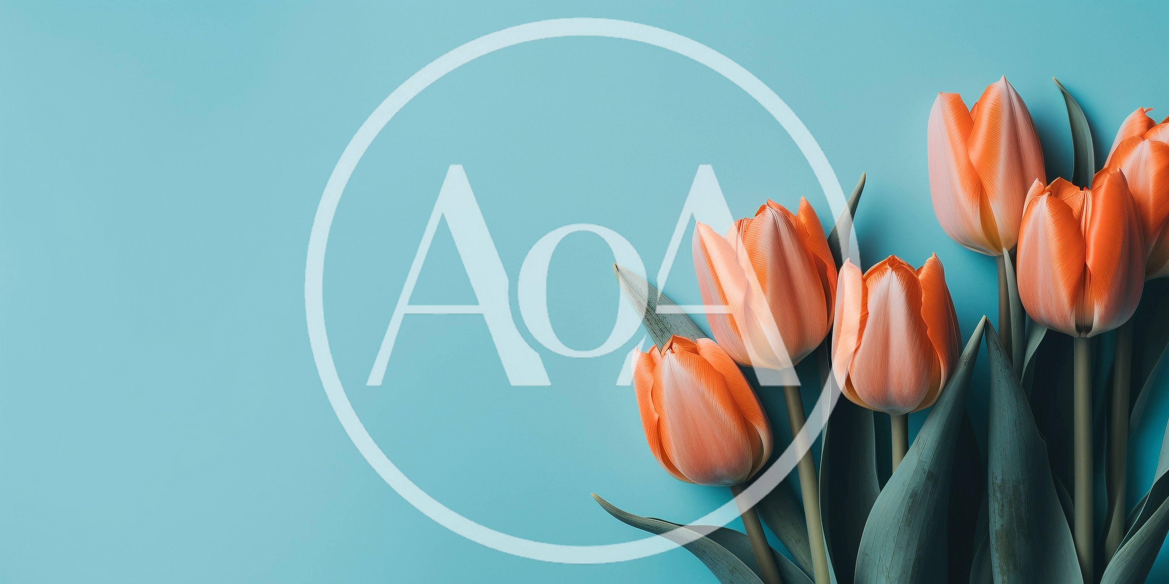 Orange Tulips Arranged On A Light Blue Background